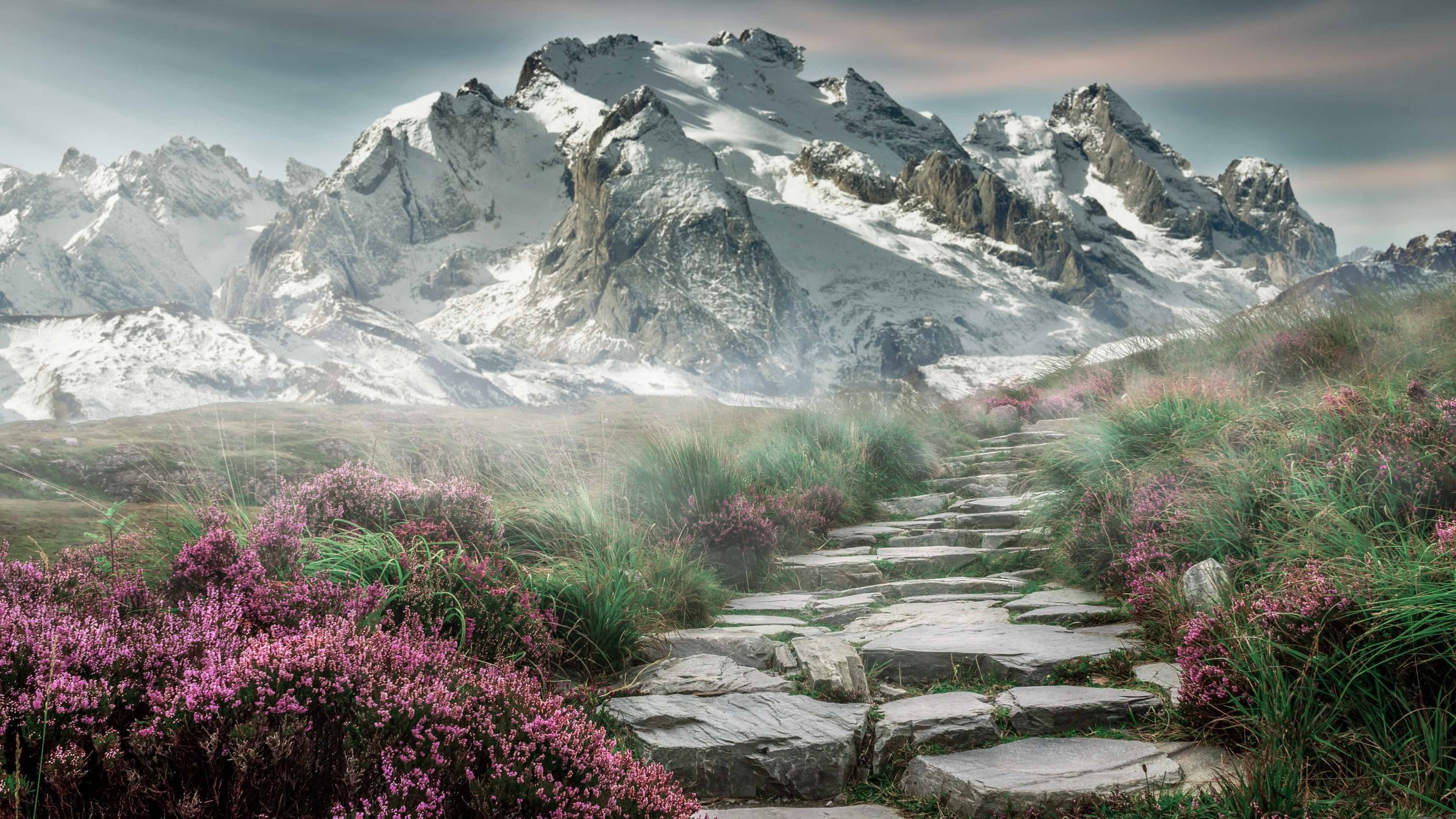 在世界杯的棋盘上，奥亚尔萨瓦尔是乌拉圭的隐形引擎，击碎突尼斯的沙漠之盾