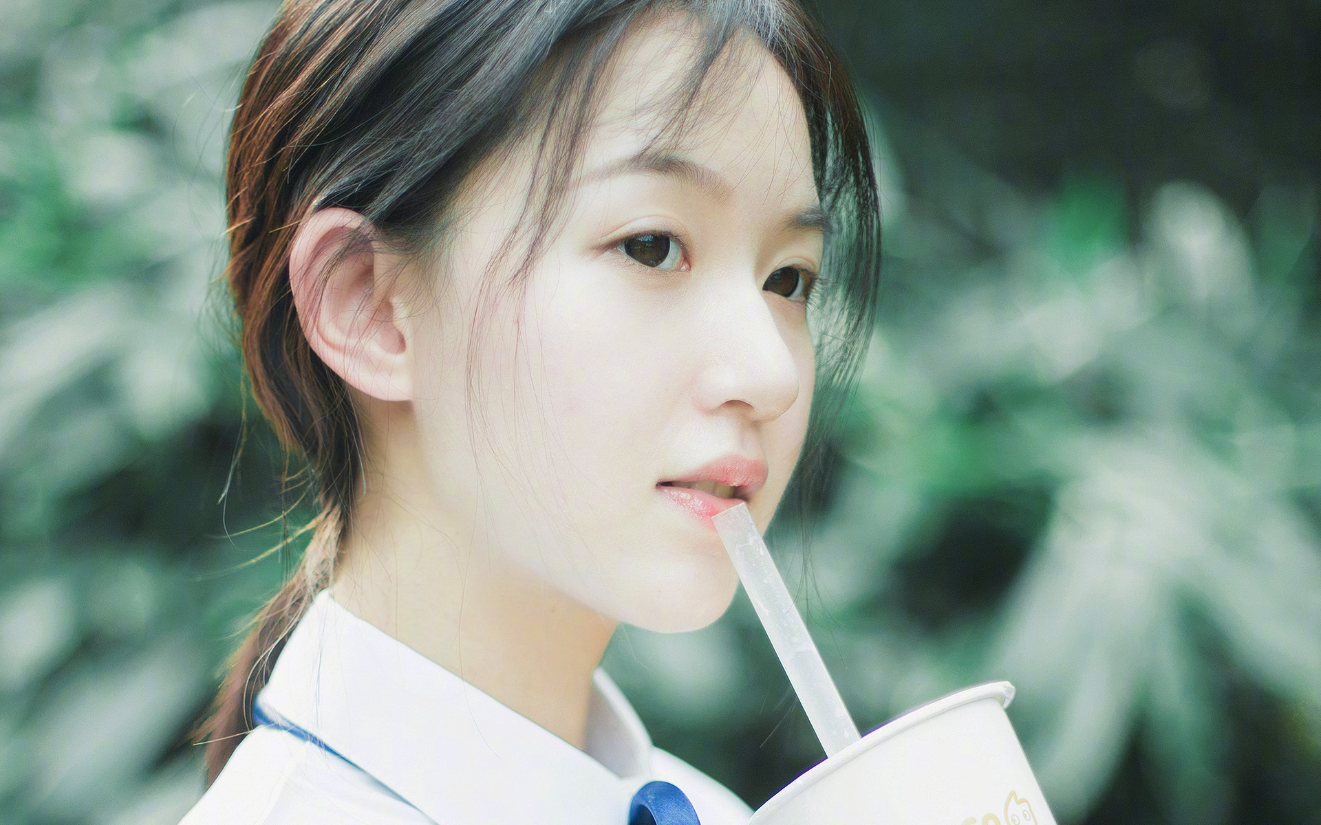 美加墨世界杯，奇迹的土壤里，老兵接管了未来