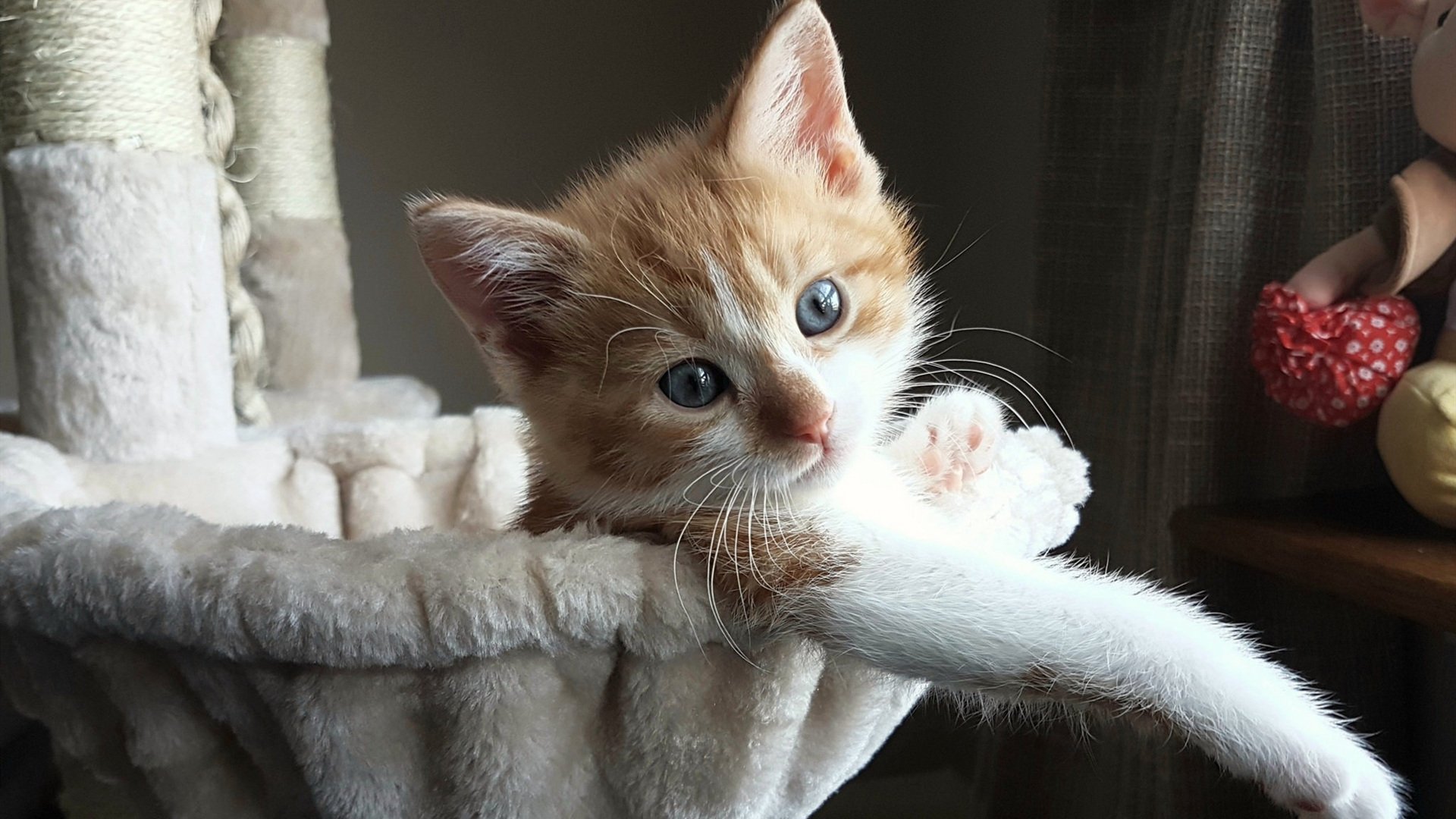 2026世界杯之夜，当梅西以神之名踏过草地，历史屏住了呼吸