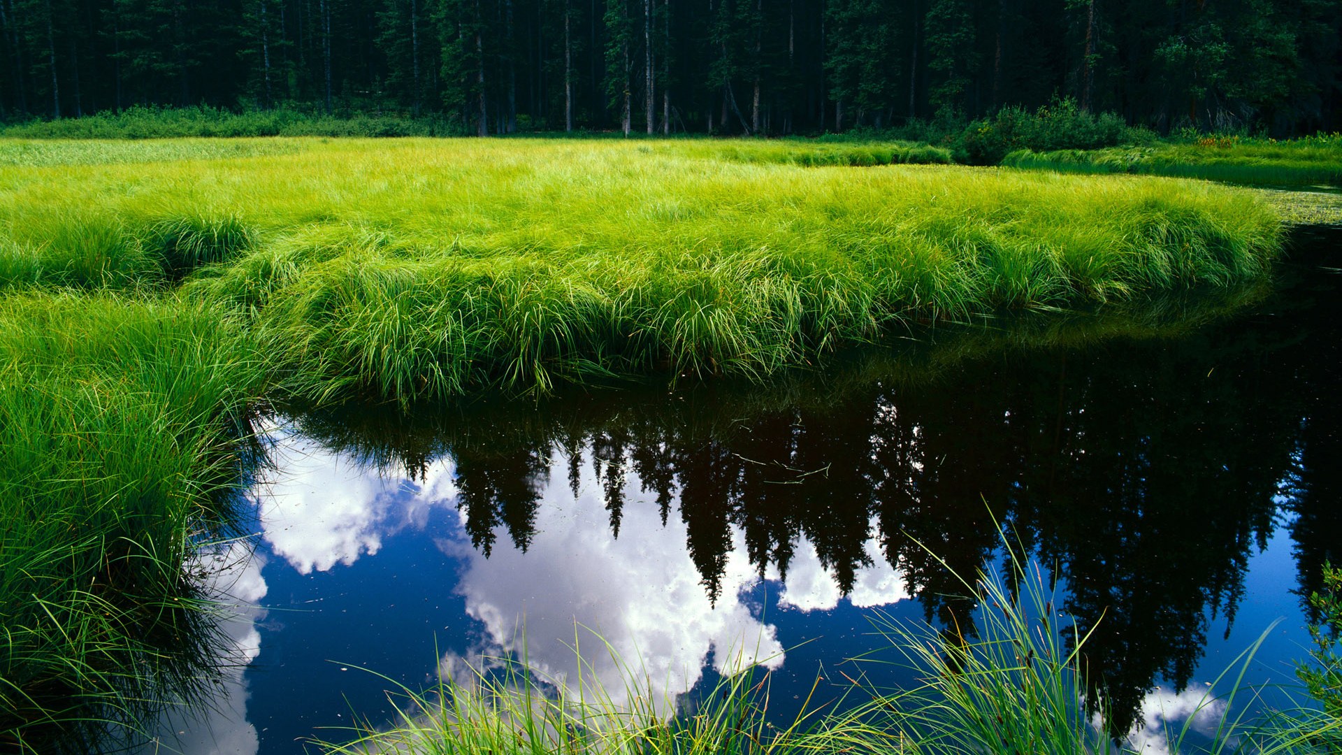 一波流席卷黄蜂，当骑士亮剑，杜兰特即答案