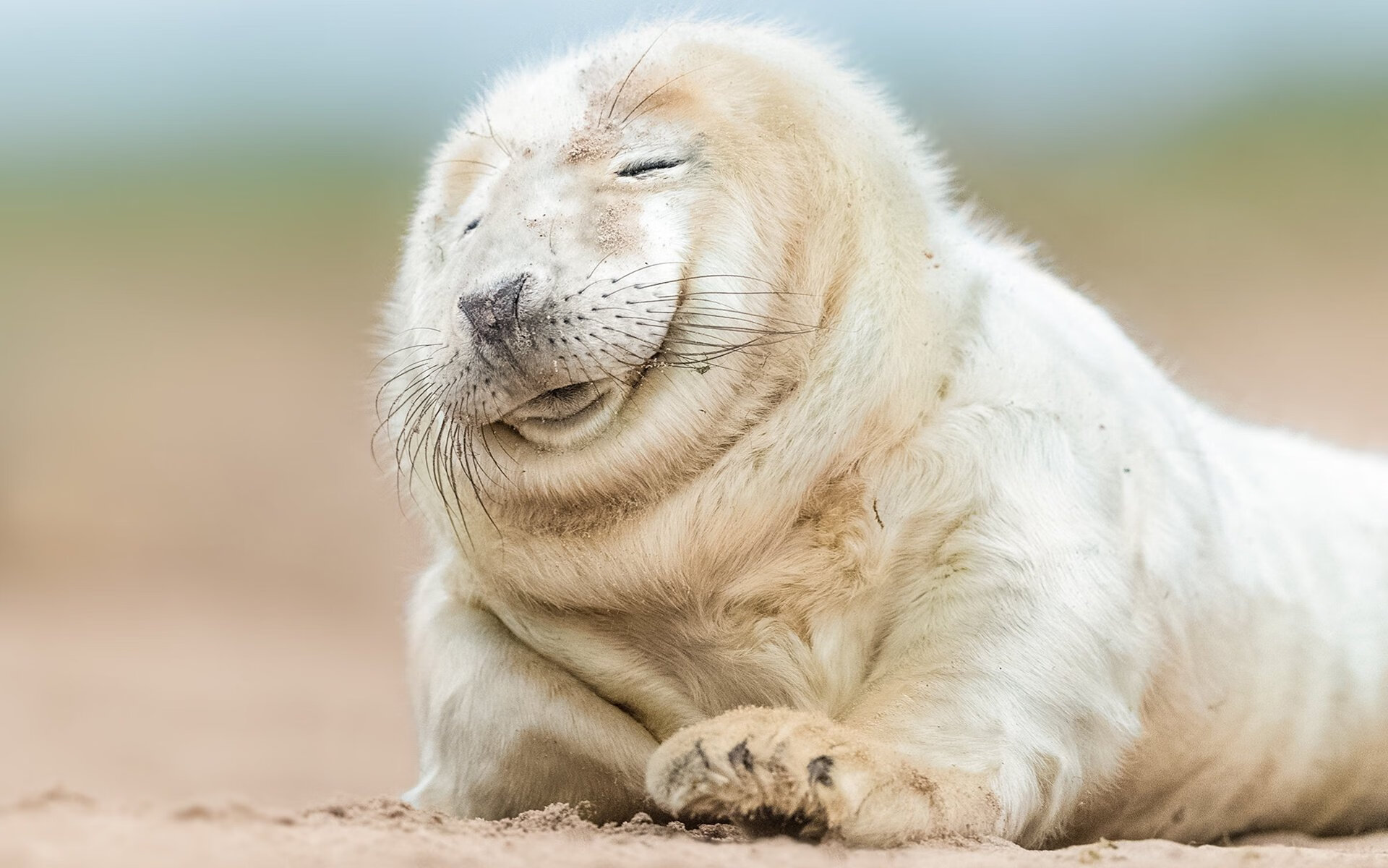 喧哗与寂静，当爵士用盐湖城的雪，掩盖菲尼克斯的烈日