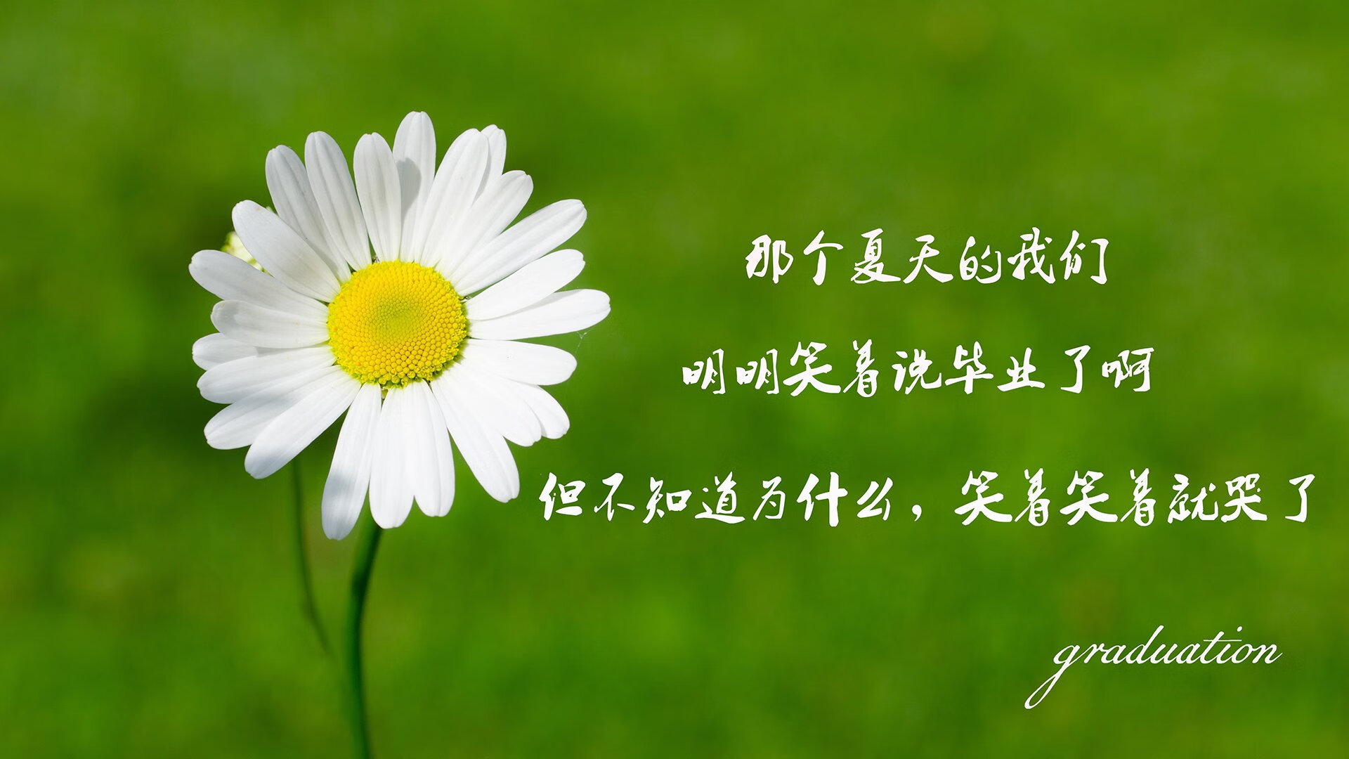 2026世界杯豪门对话唯一剧本，哥伦比亚碾压式复仇，加维上帝模式下的冷血独白