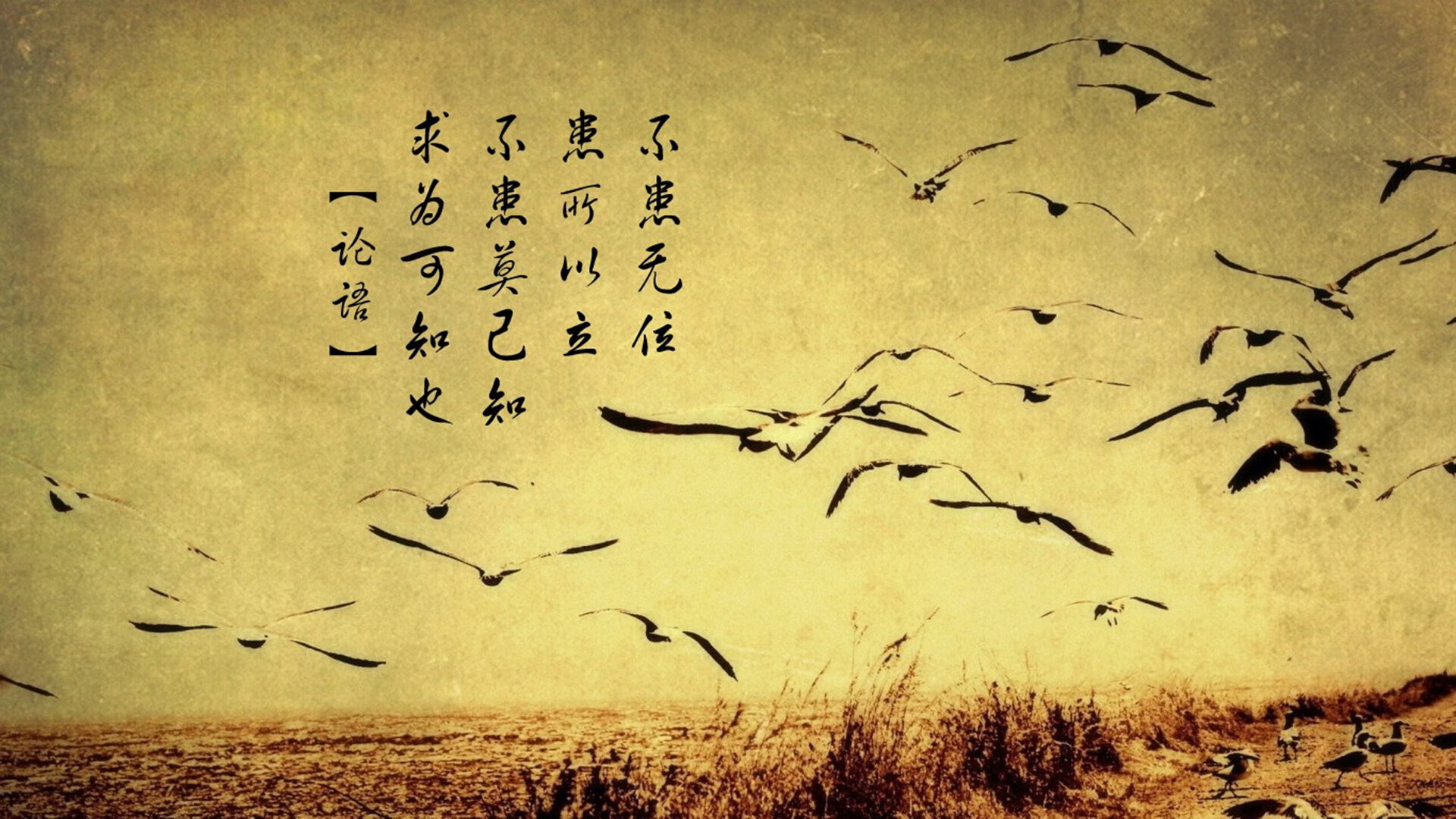 让我们先扩展思维,找到一个能抓住这一瞬间唯一性与史诗感的标题